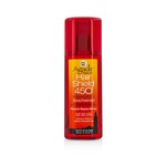 AGADIR ARGAN OIL Hair Shield 450 Plus Spray Treatment (For All Hair Types)